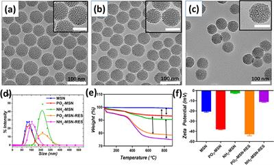 Encapsulation and Controlled Release of Resveratrol Within Functionalized Mesoporous Silica Nanoparticles for Prostate Cancer Therapy